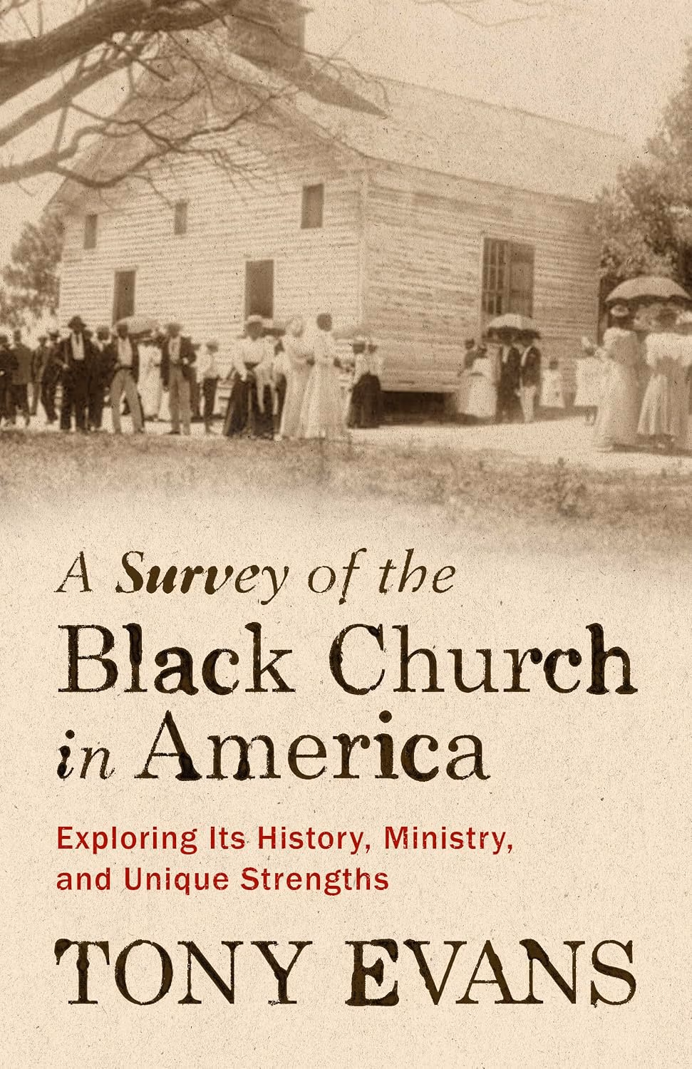 Black Church in America book cover